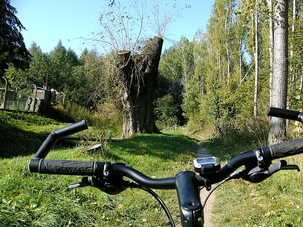 KOLO VÝLET - PŘÍRODNÍ PARK DŽBÁN